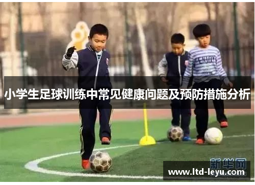 小学生足球训练中常见健康问题及预防措施分析
