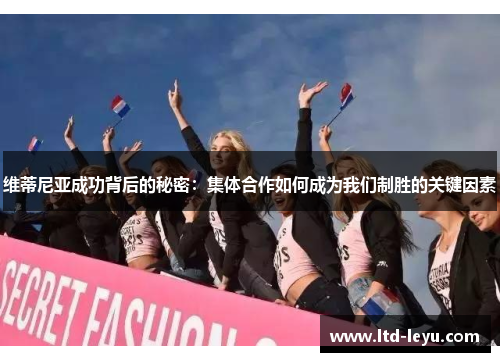 维蒂尼亚成功背后的秘密:集体合作如何成为我们制胜的关键因素 维蒂尼亚成功背后的秘密:集体合作如何成为我们制胜的关键因素