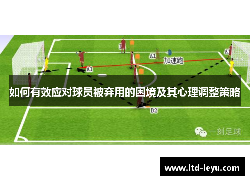 如何有效应对球员被弃用的困境及其心理调整策略