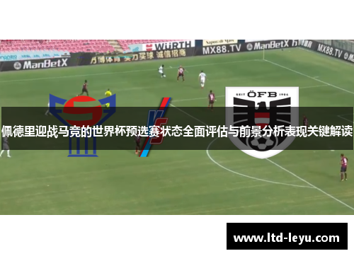 佩德里迎战马竞的世界杯预选赛状态全面评估与前景分析表现关键解读