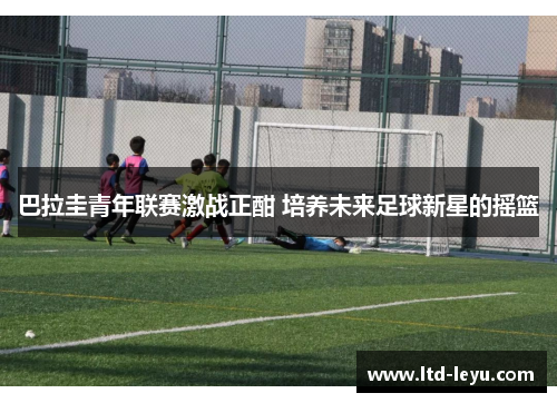 巴拉圭青年联赛激战正酣 培养未来足球新星的摇篮 巴拉圭青年联赛激战正酣 培养未来足球新星的摇篮