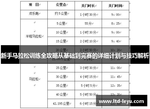 新手马拉松训练全攻略从基础到完赛的详细计划与技巧解析