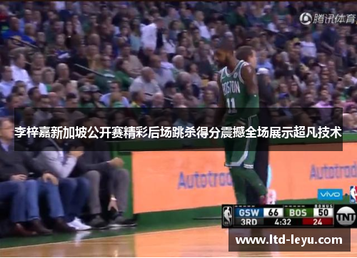 李梓嘉新加坡公开赛精彩后场跳杀得分震撼全场展示超凡技术