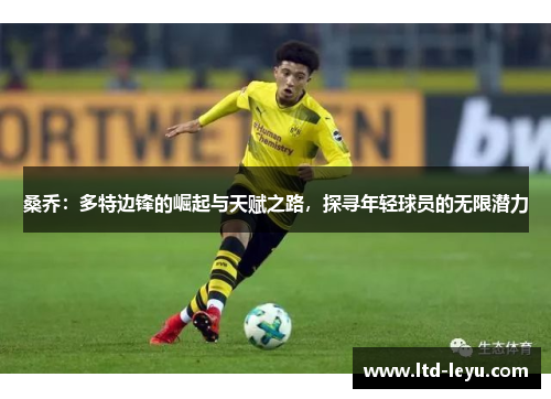 桑乔：多特边锋的崛起与天赋之路，探寻年轻球员的无限潜力