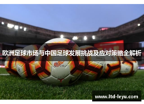 欧洲足球市场与中国足球发展挑战及应对策略全解析