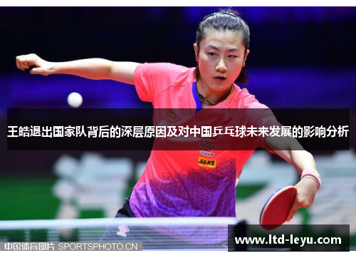 王皓退出国家队背后的深层原因及对中国乒乓球未来发展的影响分析 王皓退出国家队背后的深层原因及对中国乒乓球未来发展的影响分析